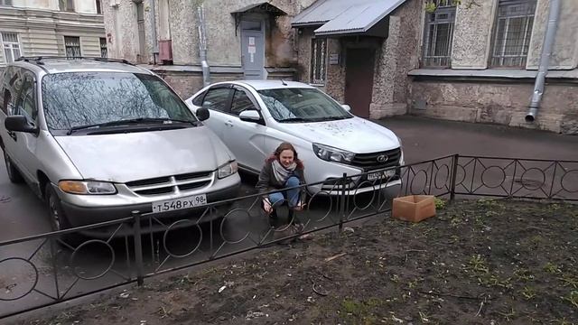 Кошачья столица России Васильевский остров округ Гавань смотреть онлайн