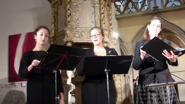 Strasbourg Saint-Guillaume - Octuor Hebraica 3 смотреть онлайн