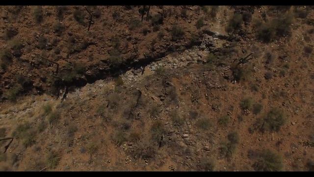 Arizona 2018 - Cactus