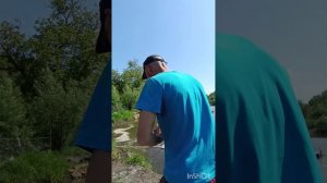 Карп на вершу. Такое впервые. Гостья на пруду!!!