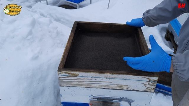 пчеловодство, канди семье и немного о причине гибели семей и плохой зимовки смотреть онлайн