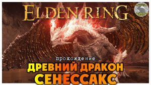 Elden Ring прохождение #70 I Зубатая гора I Древний дракон Сенессакс
