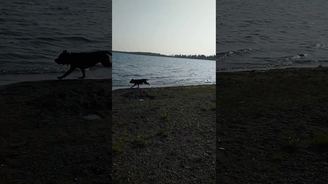 Лови волну смотреть онлайн