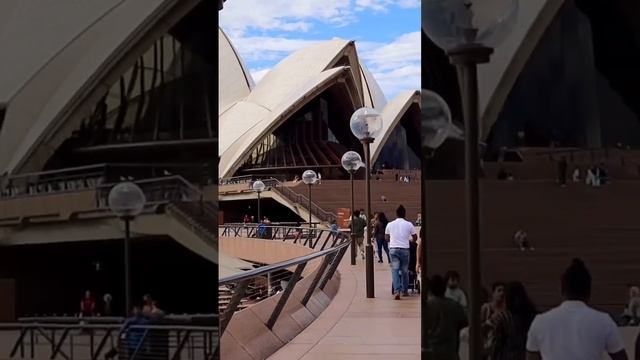 Sydney Opera House #australia #sydneyoperahouse #worldfamous #architecture #buildingstructure смотреть онлайн