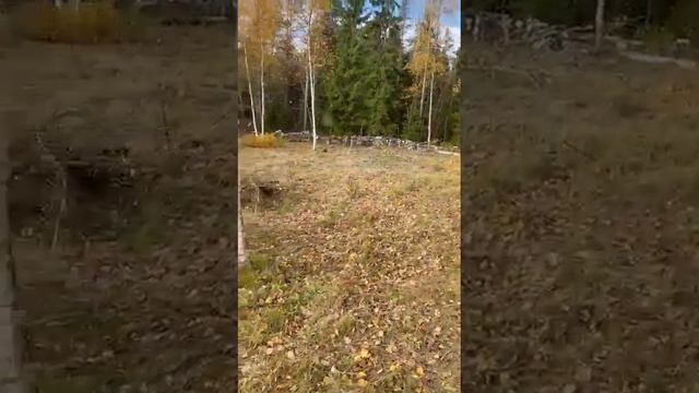 Работает дробилка смотреть онлайн