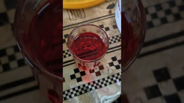 Абхазия Сухум апрель 2021 2