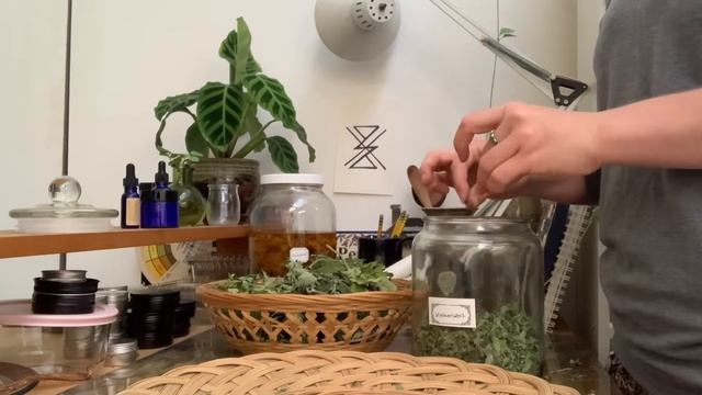The heart is a portal 🍃 MOTHERWORT medicine смотреть онлайн