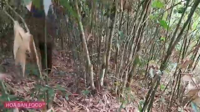 Пищевая искусство пищевые приключения Традиционная пища натуральные пищевые продукты удивительные б