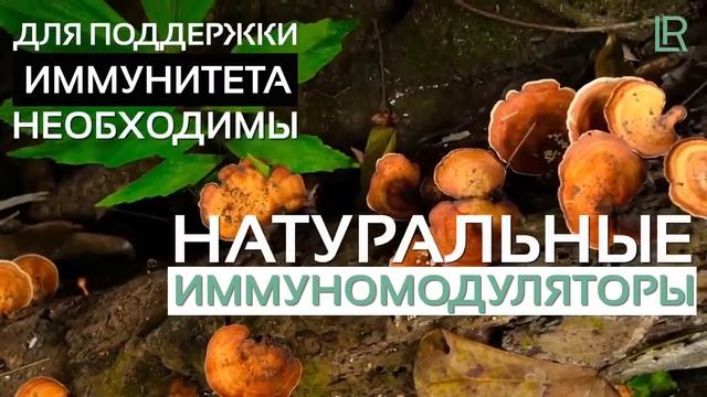 Как укрепить иммунитет с продуктами LR. Это нужно знать каждому! смотреть онлайн