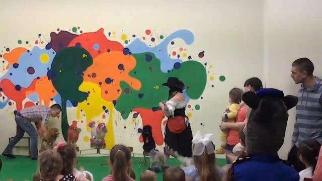 ! Дрессированные собачки - 8 965 380-13-11