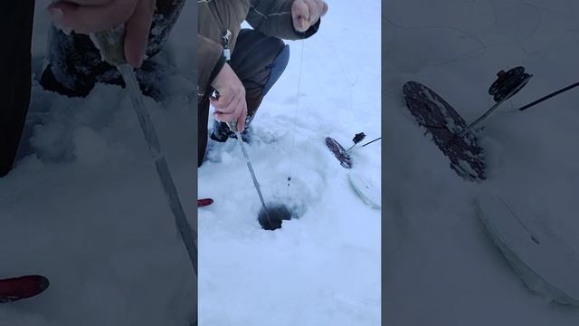 попалась щука, рыбалка на жерлицы в глухозимье #рыбалка смотреть онлайн