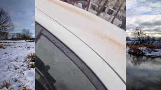 Сахалинец посыпает припаркованные машины зерном, чтобы их повредили птицы.