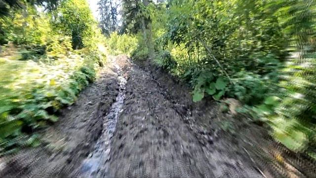 Подъем от р. Большая Лаба на альпику Закана