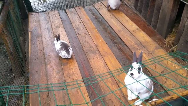 МИНИПОХОД - ноябрь 2017 смотреть онлайн