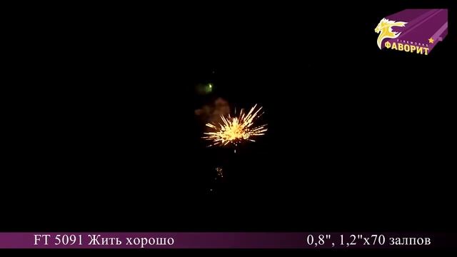Батарея салютов 'Жить хорошо' FT 5091 смотреть онлайн