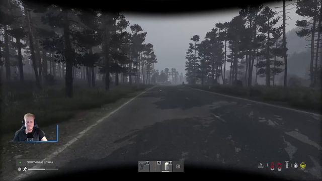 DayZ