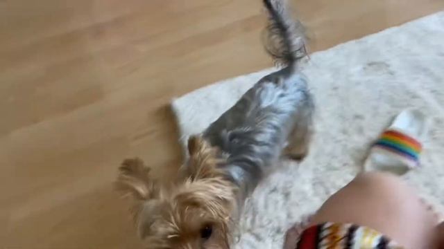 VLOG:опять покупки 🛍 смотреть онлайн