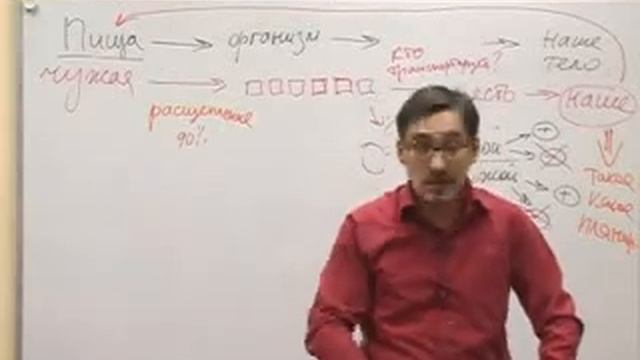 Наше тело закон обратной связи и правильное питание! смотреть онлайн