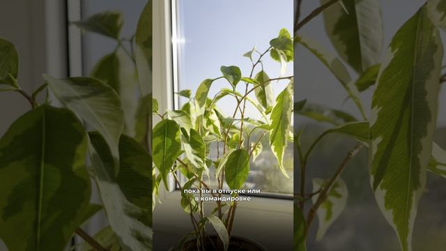 Строительная компания 