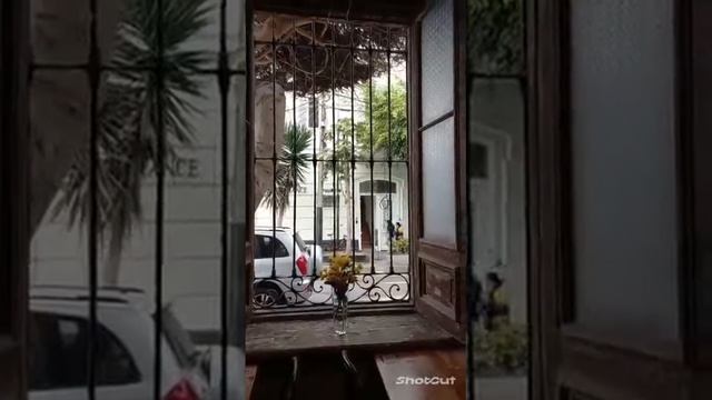 кафе-музей смотреть онлайн