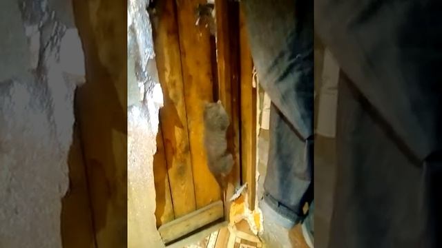 Учимся открывать дверь в комнату смотреть онлайн