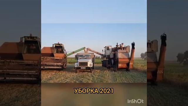 Уборка2021 Комбайнеры, Трактористы #Ukraine #Ниваск5 смотреть онлайн