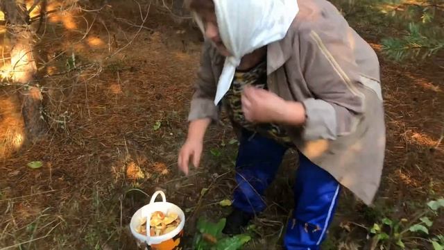 После дождика с полными лукошками смотреть онлайн