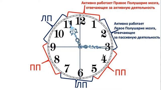 Индивидуальный БИОЛОГИЧЕСКИЙ РИТМ смотреть онлайн