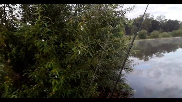 ЖОР КАРАСЕЙ НА УТРЕНЕЙ ЗОРЬКЕ. РЫБАЧИМ НА ДОНКИ И НА ПОПЛАВОЧНЫЕ УДОЧКИ. #рыбалка #fishing #донка смотреть онлайн