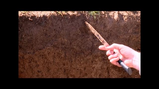 Полевая научная экскурсия