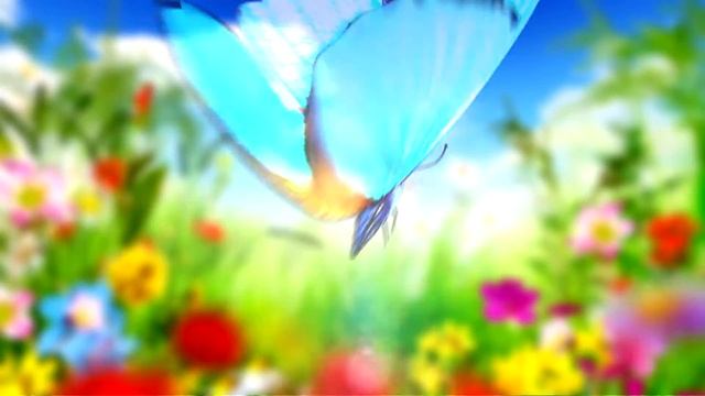 заставка смотреть онлайн