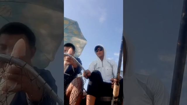 7 августа 2022 г.