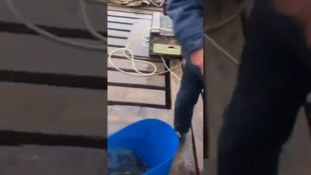 Рыбалка в Петровском смотреть онлайн