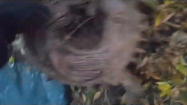 За 2 часа 4 тысячи смотреть онлайн