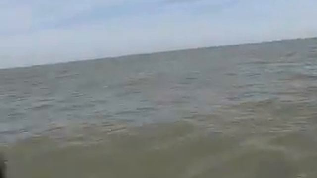 Catamaran Regatta Surfcats.wmv