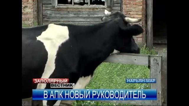 Анатолий Чудочин стал новым руководителем Ненецкой АПК смотреть онлайн