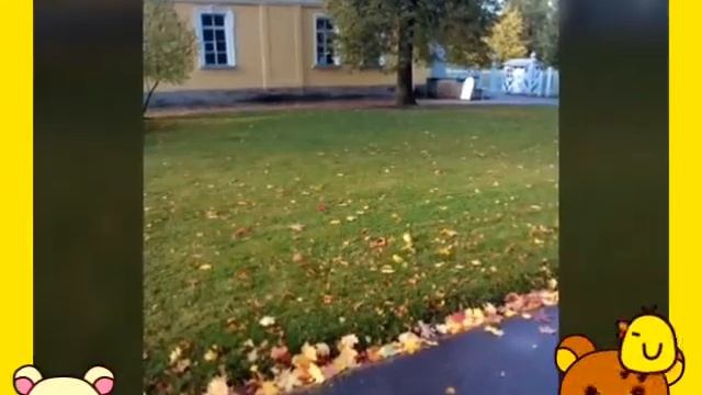 ЭКСКУРСИЯ В ПУШКИН смотреть онлайн