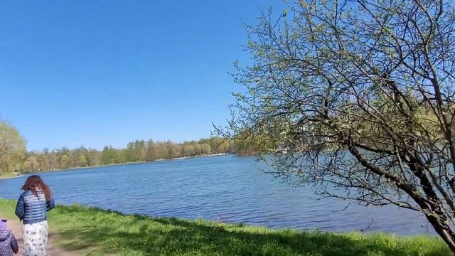 Гуляем по ЕКАТЕРИНинСКОМУ ПАРКУ в котором кишат белки и прочая живность))