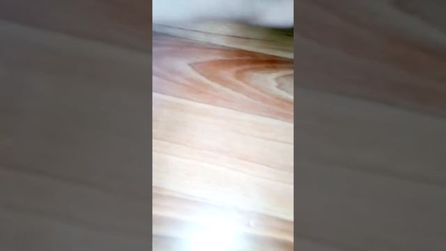 Ловля акул 2 смотреть онлайн