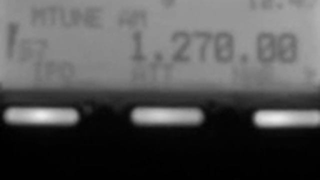 1270 kHz CBS Sports Radio 1270, Detroit, USA, 50 kW смотреть онлайн
