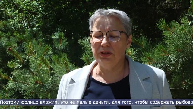 11.07.2024 Рыбоводные заводы Сахалинской области выпустили почти 1,4 миллиарда мальков смотреть онлайн