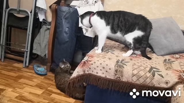 15 неделя. Что такое невышивун и как с ним бороться? смотреть онлайн