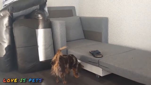 Весна идёт, весне дорогу! Sunbathing at home! смотреть онлайн