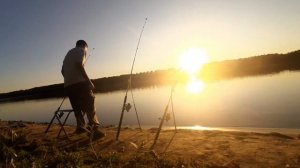 РЫБАЛКА НА ИРТЫШЕ НА ДОНКИ И СПИННИНГ. ВОТ ЭТО УЛОВ!#рыбалка #fishing #донка #аргумент #спиннинг