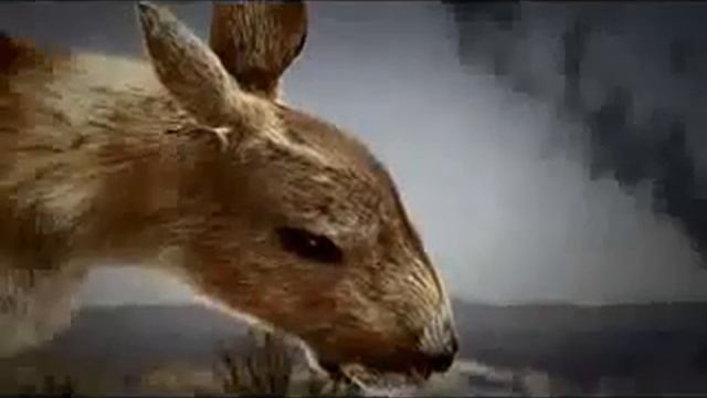 Об экологии смотреть онлайн