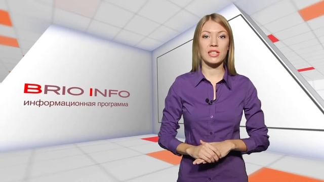 BrioINFO  23.11.2013 Итоговый