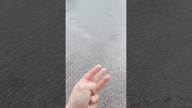 улица Павла Корчагина 16 Гагаринский район Севастополь дом лужа. смотреть онлайн