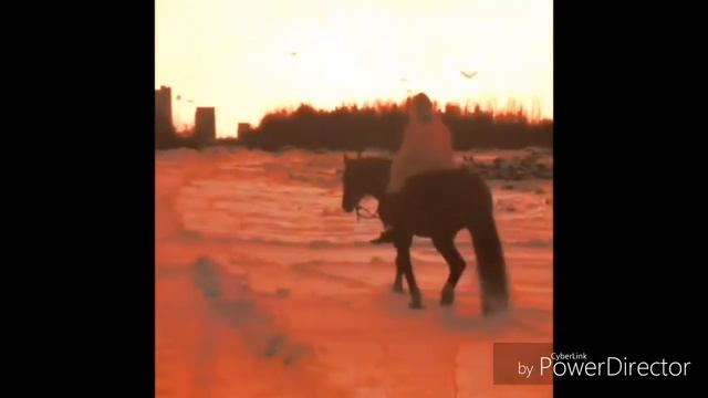 ВелесО смотреть онлайн