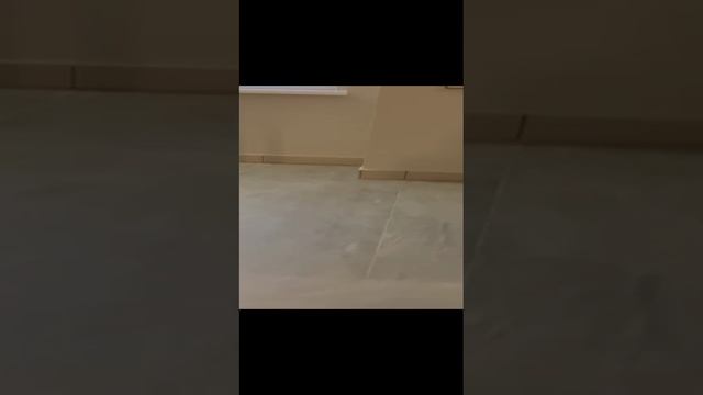 Ломоносова