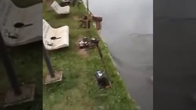 Авто удочка